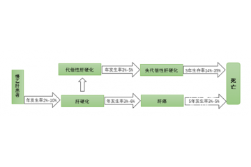 中國(guó)系全球乙肝病毒中高度流行區(qū)，用藥市場(chǎng)規(guī)模大（附報(bào)告目錄）
