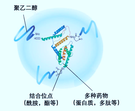 2-200ZQ51422154.png 2-200ZQ51422154.png