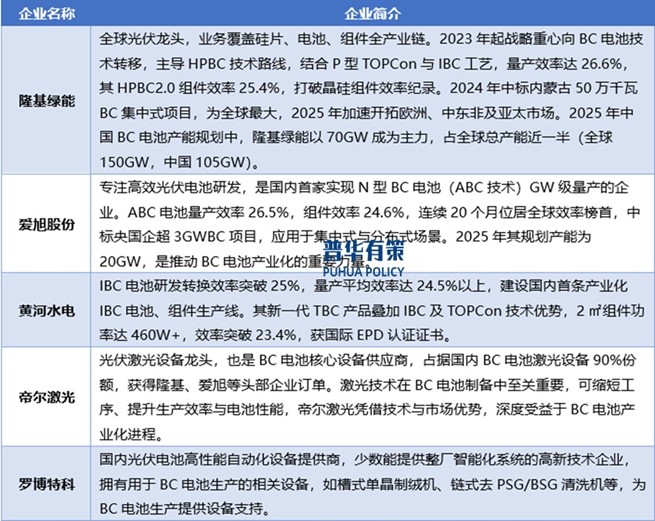 2-2505121P22W08.jpg 2-2505121P22W08.jpg